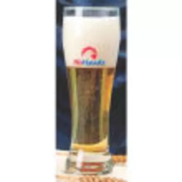 19 oz. Pilsner Glass.