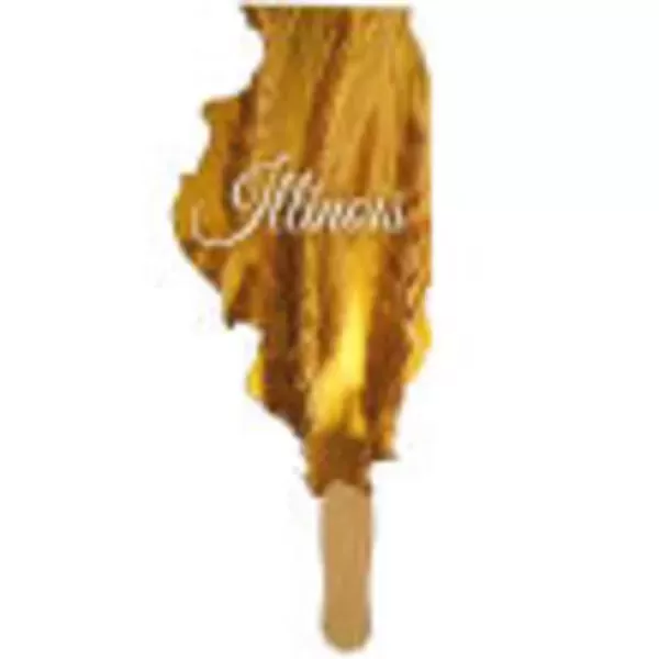 Illinois State shaped fast