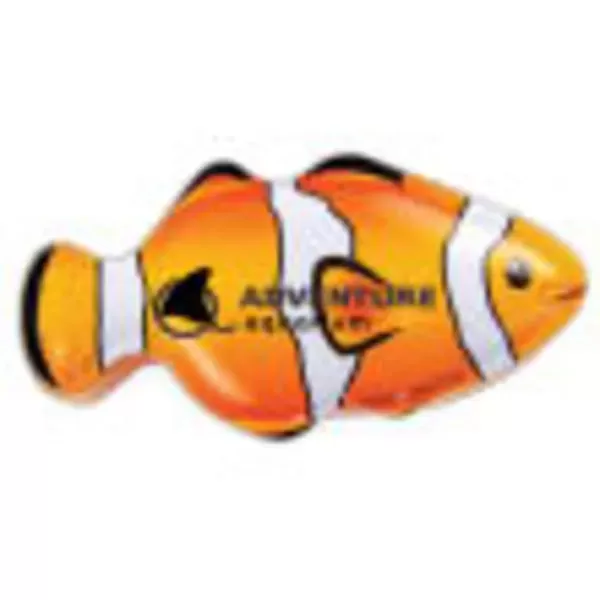 Product Option: Angel Fish