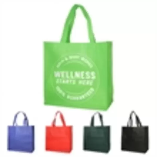 Shopping Bag Non-Woven 13