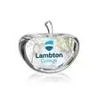 Optical crystal apple paperweight