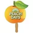 Peach Hand Hand Fan