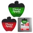 Apple shape translucent memo