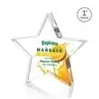 Standing Star VividPrint™ Award