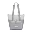 Insulated cooler/tote bag with