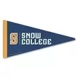 Pennant Car Sign Magnet.