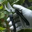 Evergreen Garden Pruner: Trim