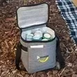 12-can capacity cooler bag