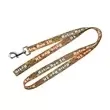 100% polyester pet leash