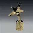 Star Award shaped from