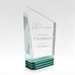 Clear Acrylic award with