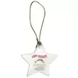 Acrylic star ornament for