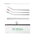 6-pc Stainless Steel Straw