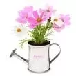 Watering can planter kit