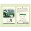 Organic Kale Seed Packet.