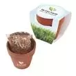 Seed Sensations Terracotta planter