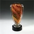 Art glass award with