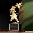 Gold constellation award with