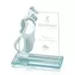 Promotional -AWARD GLF300