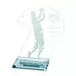 Promotional -AWARD GLF320