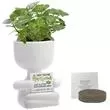 Ceramic people planter kit,