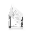 Promotional -AWARD OPT381X