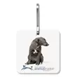 Bag & luggage tag